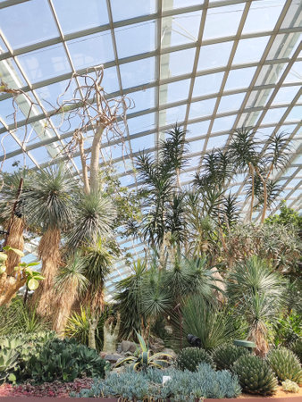 Singapore - 16 Jun, 2023: The conservatory Flower Dome located at Park Gardens by the Bay, Singapore.のeditorial素材