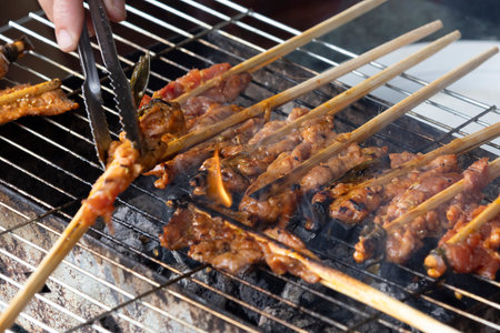 Vietnam smoky sweet and savory pork skewer on the grillの写真素材