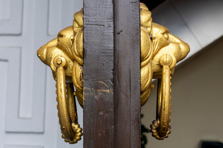 Golden door knob with lion head on the wooden doorの写真素材