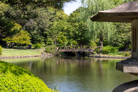 Tokyo, Japan - 17 May 2024: Shinjuku Gyoen National Garden in Tokyo. It is a public park known as a popular spot for enjoying cherry blossoms.のeditorial素材