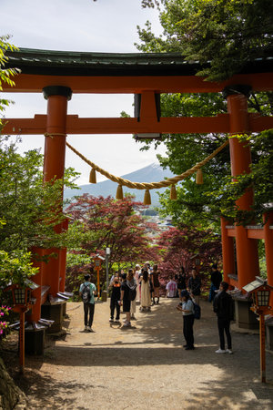 Shimoyoshida, Japan- 15 May 2024: Arakurayama Sengen Park Shrine Torii gate and Fuji Mountain at spring in Yamanashi, Japanのeditorial素材