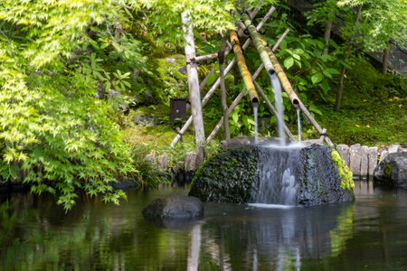 Kamakura, Japan- 14 May, 2024: Hojoike Pond inside the Hasedera temple in Kamakura, Japan. Hasedera temple is famous for its eleven-headed statue of Kannonのeditorial素材