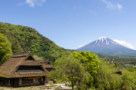 Kawaguchiko, Japan- 16 May, 2024: Saiko Iyashi no Sato Nenba or Traditional Japanese Village in Kawaguchiko, Japan. This is a beautiful place to assemble ancient farm houses close to Mount Fujiのeditorial素材