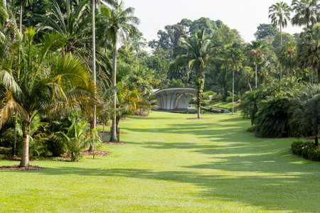 Green scenery of Singapore Botanic Garden. Singapore Botanic Gardens serves as a lush oasis in the bustling city of Singaporeの写真素材