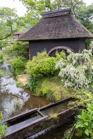 Kawaguchiko, Japan- 16 May 2024: Oshino Hakkai, a small village in the Fuji Five Lake region, located between Lake Kawaguchiko and Lake Yamanakako.のeditorial素材