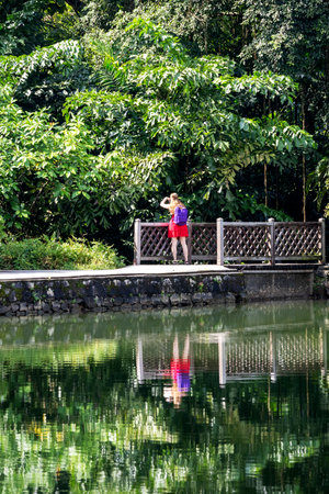Singapore- 19 Apr, 2024: Green scenery of Singapore Botanic Garden. Singapore Botanic Gardens serves as a lush oasis in the bustling city of Singaporeのeditorial素材