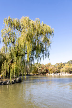 Yuanmingyuan Garden in Beijing during autumn. It is an imperial garden built in the Qing Dynasty and burnt down in 1860の写真素材