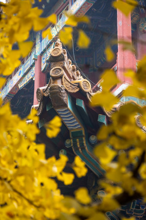 Roof of the Forbidden city building behind green and yellow autumn leaves