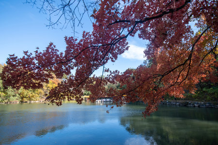 Autumn view of Summer Palace in Beijing, China. It was an imperial garden during the Qing dynasty.の写真素材