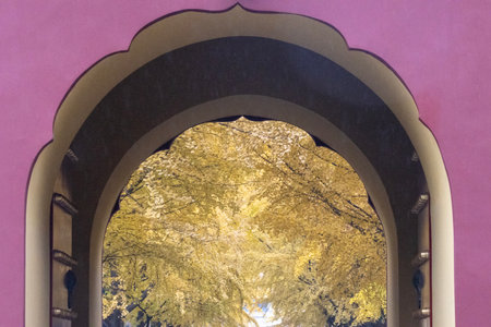Yellow Ginkgo avenue inside Zhongshan Park, Beijing. It was a former imperial altar and now a public...