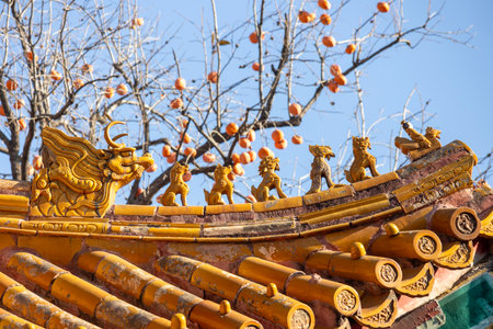 Roof of Yonghe Temple in Beijing, China