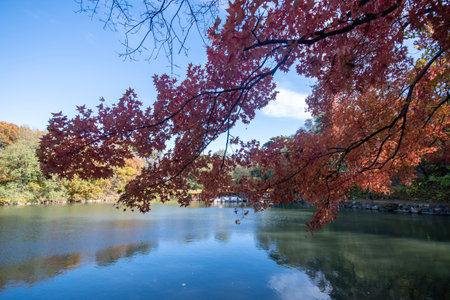 Autumn view of Summer Palace in Beijing, China. It was an imperial garden during the Qing dynasty.の写真素材
