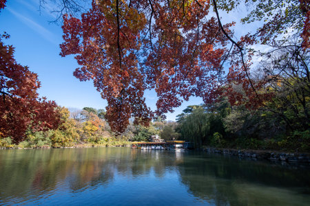 Autumn view of Summer Palace in Beijing, China. It was an imperial garden during the Qing dynasty.の写真素材