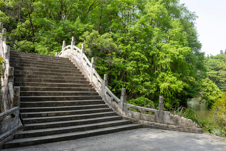 Beautiful view of Xianhu Botanical Garden in Shenzhen, China. It is one of the better tourist destinations in the modern city of ShenZhenの写真素材