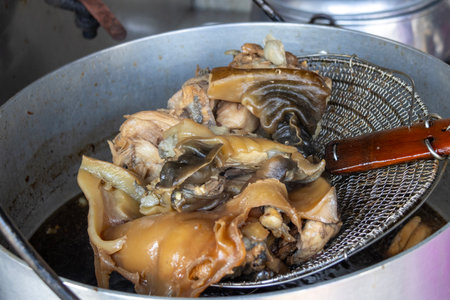 Turtle soup, also known as terrapin soup. It is a soup or stew made from the meat of turtlesの写真素材
