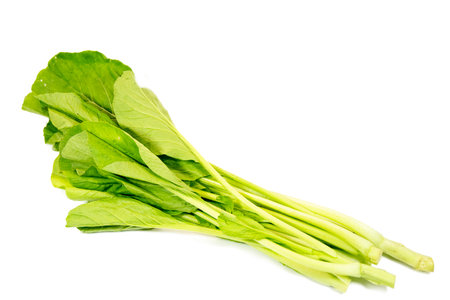 Green and fresh Choy Sum isolated on white background. It is a type of Chinese leafy green vegetableの写真素材