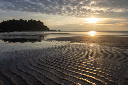 Morning in Teluk Cempedak beach in Kuantan, Malaysia. Loads of people taking morning strolls along the beachの写真素材