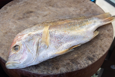 Salted Fish sold on market,  It is fermented, after which it is cured using saltの写真素材
