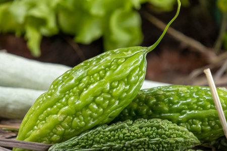 Bumpy bitter gourds. It has a bitter taste and contains white, spongy flesh with flat, light seeds.