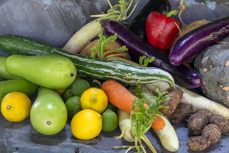 Assorted organic vegetables and fruits shown on market, including snake gourd, lemon, radish, brinjal, etcの写真素材