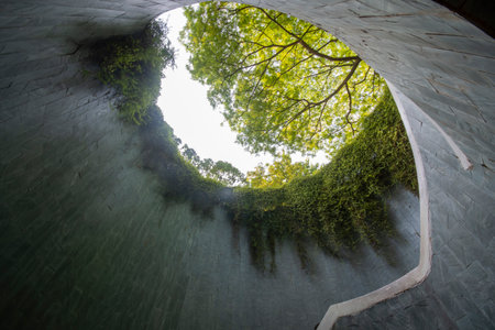 Fort Canning Tree Tunnel in Singapore. It is a vehicular tunnel and one of the iconic photo spots in...