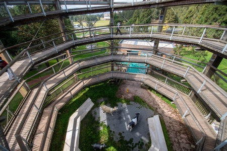 Wulong, China- 4 Nov 2025: Forest Eye at Fairy Mountain National Forest Park in Wulong Chongqing, China. It is a spiral-shaped attraction offering panoramic views of the surrounding area.のeditorial素材