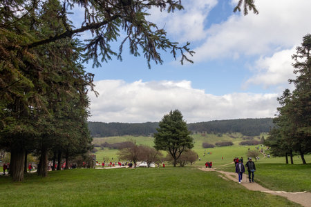 Chongqing, China-11 Nov 2025: Fairy Mountain Grassland is located in Chongqing, China. It is known for its rare alpine meadows, is also famous for its forestsのeditorial素材