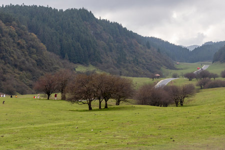 Chongqing, China-11 Nov 2025: Beautiful scenic road at Fairy Mountain National Forest Park, Chongqing, China. Stunning alpine meadow scenery and often being called The Most Beautiful Highwayのeditorial素材