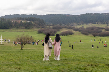 Chongqing, China-11 Nov 2025: Fairy Mountain Grassland is located in Chongqing, China. It is known for its rare alpine meadows, is also famous for its forestsのeditorial素材