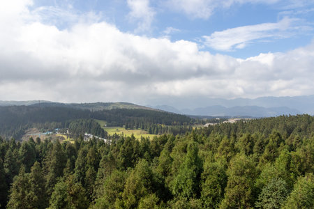 Quiet forest of Fairy Mountain National Forest Park in Wulong, Chongqing, China. The park famed for its meadows and green forest and grasslandの写真素材