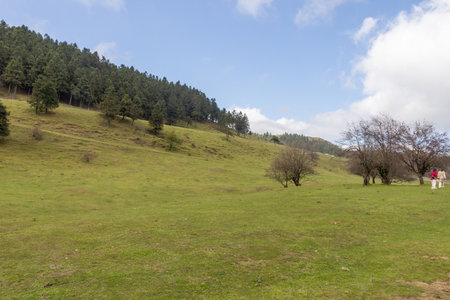 Chongqing, China-11 Nov 2025: Fairy Mountain Grassland is located in Chongqing, China. It is known for its rare alpine meadows, is also famous for its forestsのeditorial素材