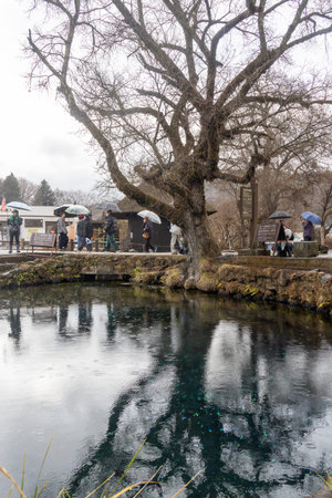 Oshino, Japan- 20 Dec 2025: Waku-ike Pond of Oshino Hakkai in Japan. It representative pond with the highest spring water volume. Nestled near Mount Fuji, it is known for its crystal-clear watersのeditorial素材