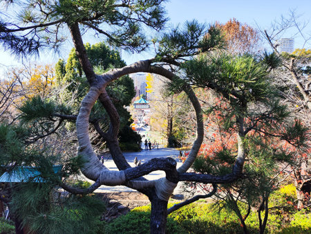 Tokyo, Japan- 17 Dec 2025: The Moon Pine Tree at Kiyomizu-Kannondo pavilion located inside the Ueno...