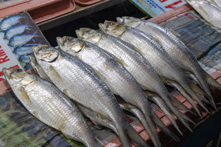 Kuching, Malaysia- 26 Jan 2026: Salted Toli Shad or Chinese Herring sold in Kuching, Malaysia. It is...
