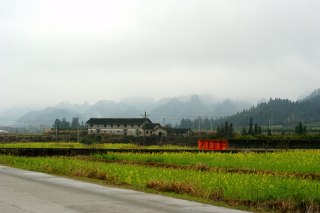 rural sceneryの写真素材
