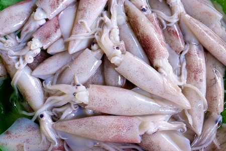 Raw squid in a fish market in Ho Chi Minh City Vietnam
