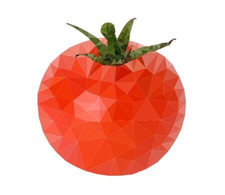 Tomato Polygon Vector illustration on white backgroundのイラスト素材