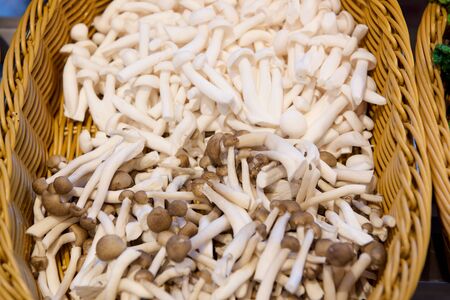 Various Mushroom types in a basket