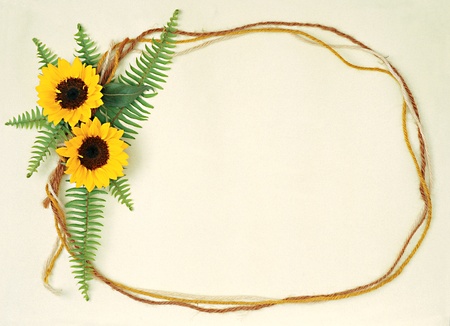 floral frame の写真素材