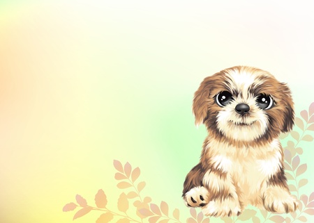 Young puppy by Freehand drawing-02の写真素材