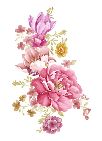watercolor illustration flowers in simple background の写真素材