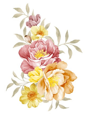 watercolor illustration flowers in simple background の写真素材