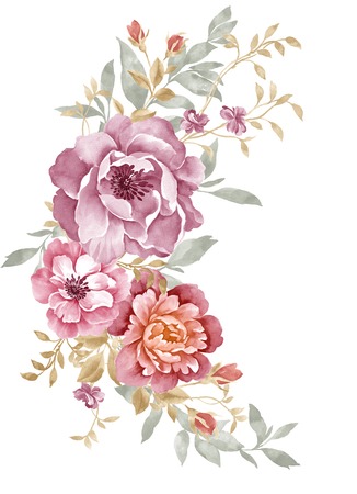 watercolor illustration flowers in simple background の写真素材