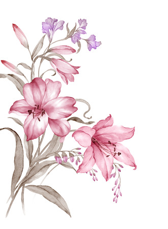 watercolor illustration bouquet in simple white backgroundの写真素材