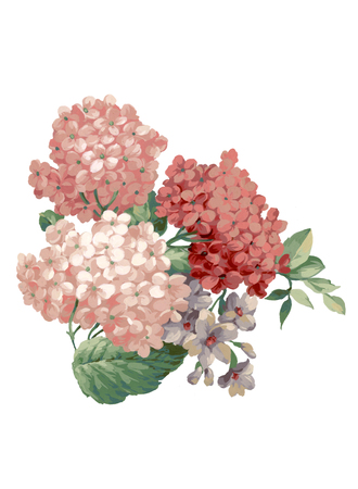 watercolor illustration bouquet in simple white backgroundの写真素材