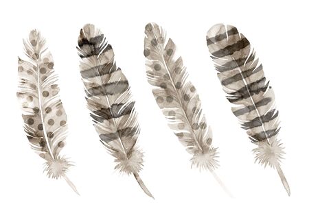 Feathers painted with watercolors on white background.の写真素材