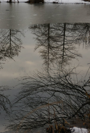 Frozen Lake in Washington DCの写真素材