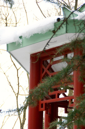 Japanese Pagoda under the snowの写真素材
