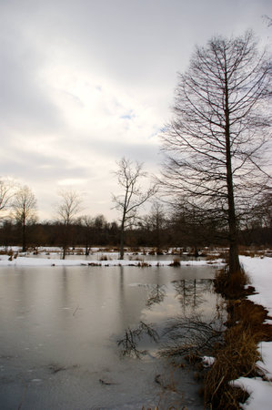 Frozen Lake in Washington DCの写真素材