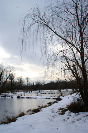 Lake uder the snowの写真素材